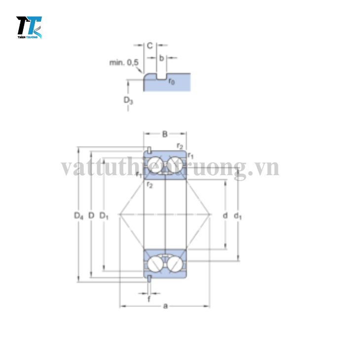 Vòng Bi Cầu Tiếp Xúc Góc 2 Dãy 3309 DNRCBM